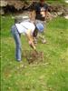 Servicio Comunitario FACES - Mucuchies (11)